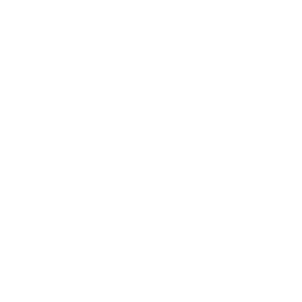 mediakraft